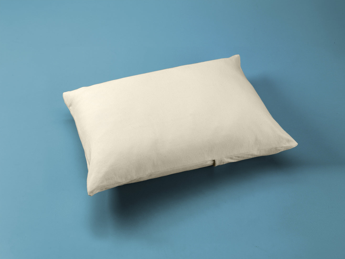 Organic Cotton Toddler Pillow Case