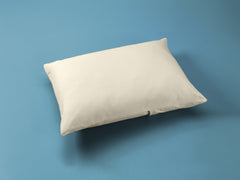 Organic Toddler Pillow Cover
